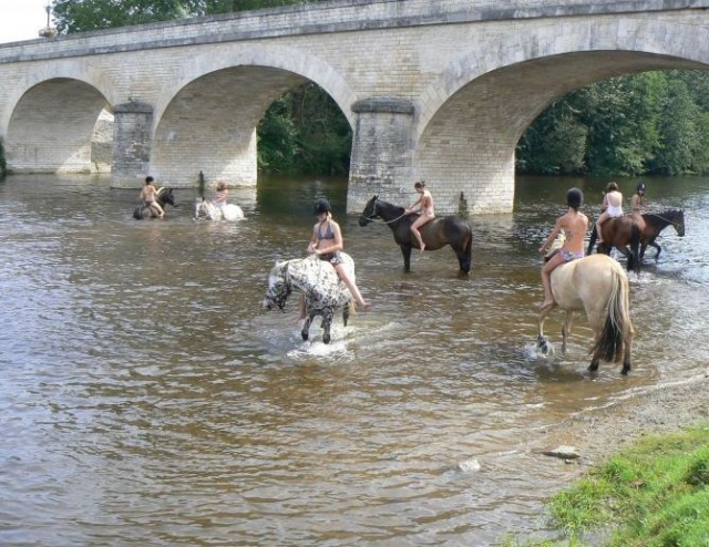 Randonnees equestres avec la Vallee des Cerfs